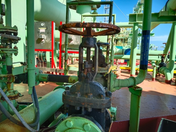 gate valve